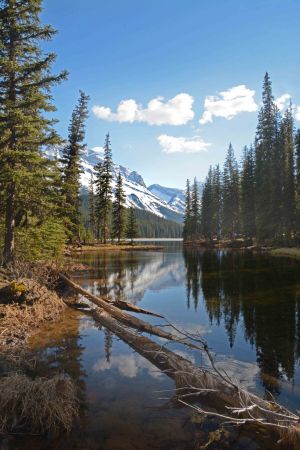 JASPER - Jacques lake